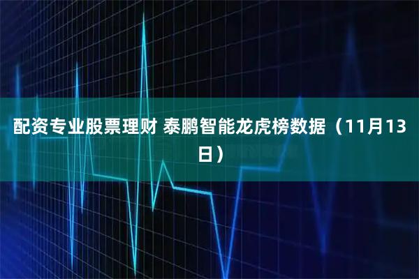 配资专业股票理财 泰鹏智能龙虎榜数据（11月13日）